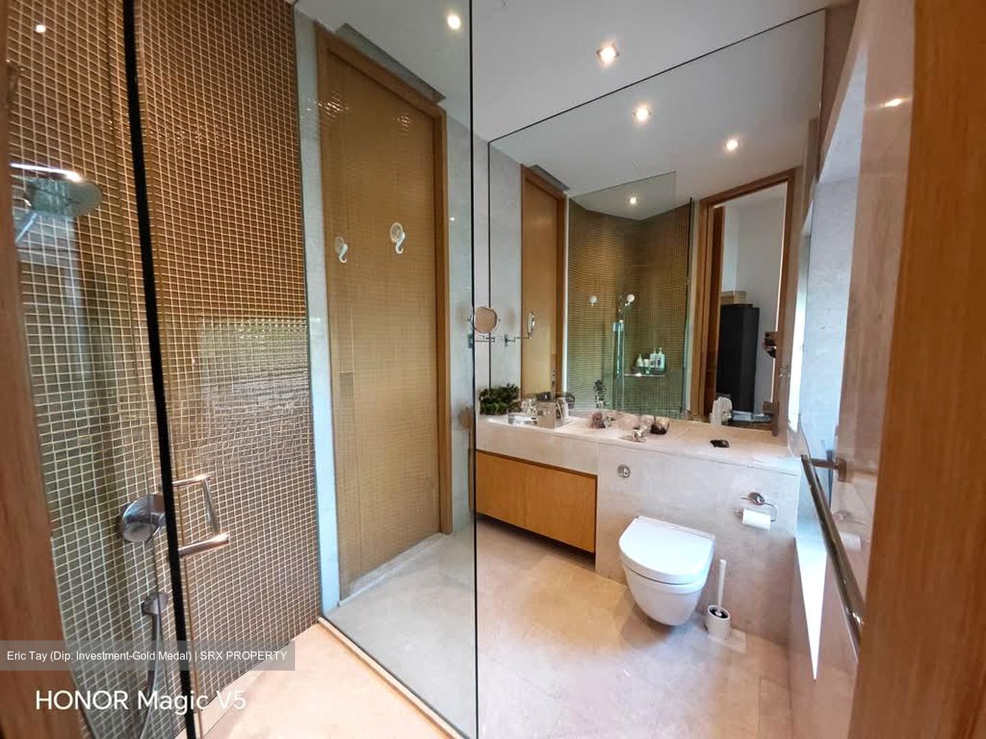 Belle Vue Residences (D9), Condominium #581053231